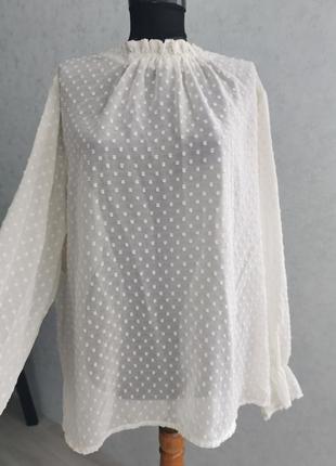 Нежная прозрачная женская блуза большого размера2 фото