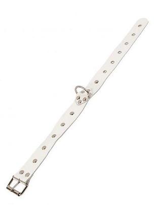Нашийник dominant collar, white 2