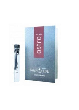 Духи с феромонами мужские ostro, 2 мл
