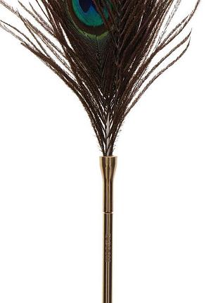Перо павліна peacock tickler taboom 3