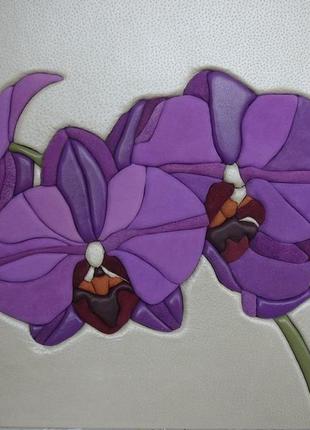 Дикая орхидея1 фото