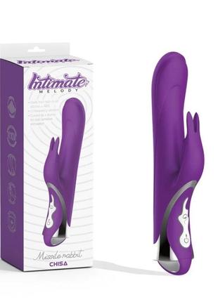 Вібратор-кролик chisa missile rabbit purple