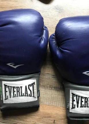 Боксерські рукавички everlast