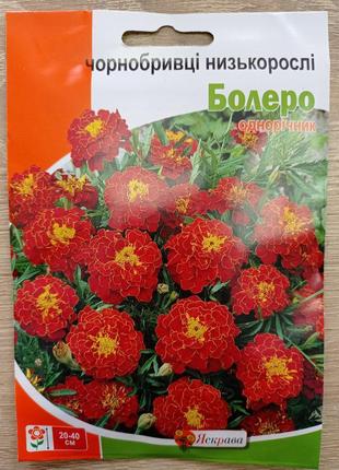 Чорнобривці низькі болеро 5 г, яскрава