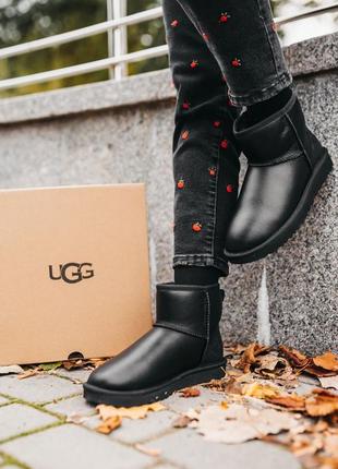 Женские чёрные угги ugg mini classic black leather10 фото