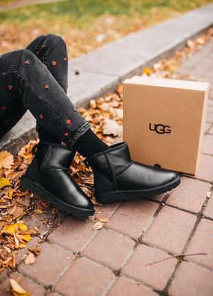 Женские чёрные угги ugg mini classic black leather7 фото