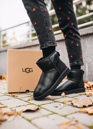 Жіночі чорні уггі ugg classic mini black leather