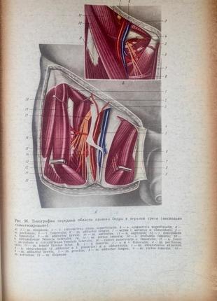 Оперативная хирургия и топографическая анатомия5 фото