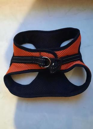 Шлейка для кота/кошки