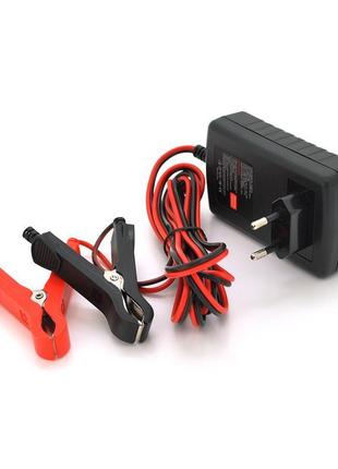 Автоматичний зп для акумулятора 6v/12 v (mf, wet, agm, gel), r...