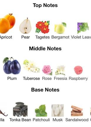 Парфюмированная вода gisada ambassador women (швейцария)