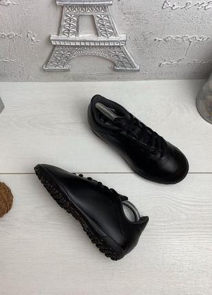 Сороконожки