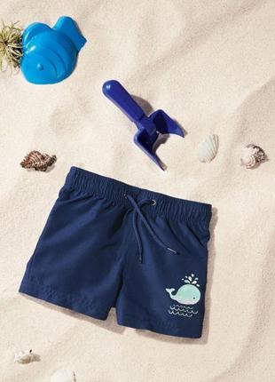 Дитячі пляжні купальні шорти lupilu для хлопчика 86-92, 187815 фото