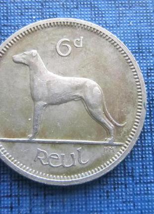 Монета 6 пенсів ірландія 1964 1963 фауна собака 2 дати ціна за...