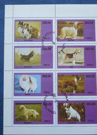 Малий аркуш 8 марок нагаленд 1973 фауна собаки породи собак гаш