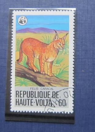 Монета 2 гривні україна 2009 запоріжка зона