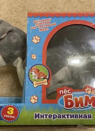 Интерактивная игрушка пёс бим.абсолютно новая.цена 300 грн.6 фото