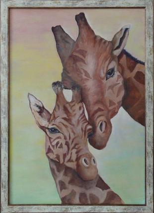 Картина жирафы 50х70 см