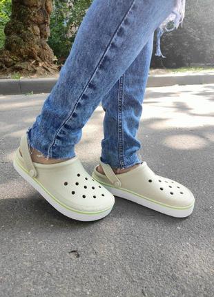 Crocs off court clog bone кроксы мужские и женские крокодилы сабо