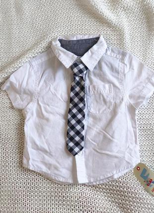 Нова дитяча сорочка з краваткою, бавовна, на 9-12 місяців