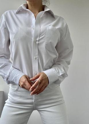 Базовая белая рубашка/рубашка от marks &amp; spencer2 фото