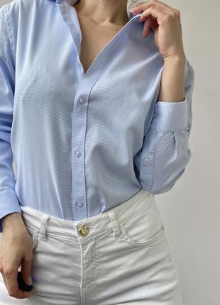 Базова бавовняна сорочка/рубашка  collar1 фото