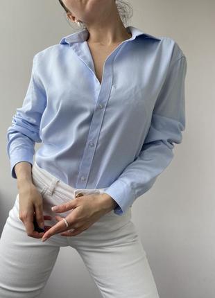 Базова бавовняна сорочка/рубашка  collar4 фото