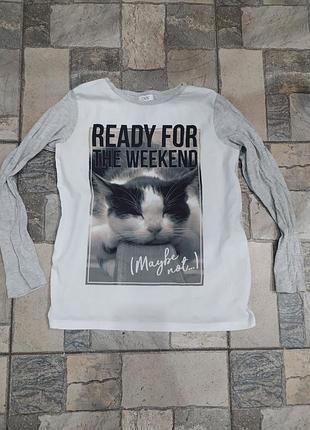 Кофта реглан