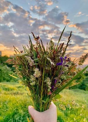 Букет полевых цветов, трав и диких злаков