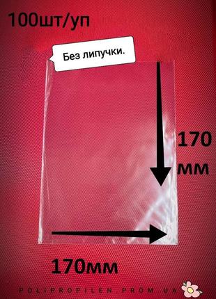 Поліпропіленовий пакет простий 170х170мм (100шт.)1 фото