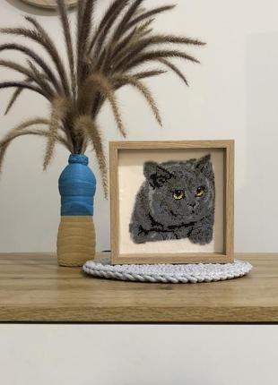 Картина бісером "сірий котик" на велюрі