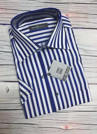 Чоловічі сорочки 🇹🇷 короткий рукав