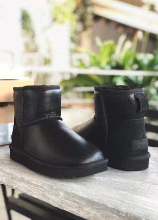 Ugg classic mini bomber зимові жіночі чоботи в чорному кольорі