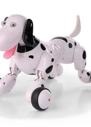 Робот-собака smart dog hc-777-338b на радіокеруванні, happycow (чорний)