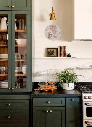 Ботанічний барельєф з гіпсу з винонрадом