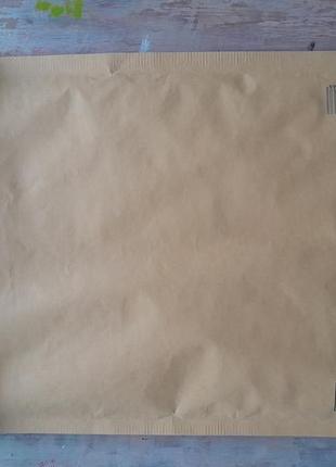 Хамелеон масляной пастелью, а5 формат (15х21см) с рамкой9 фото