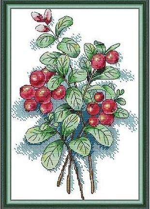 Набір для вишивання за нанесеною на канву схемою "autumn fruits 1 ". aida 14ct printed 21*31 см