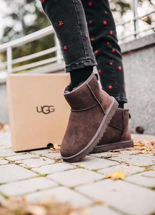 Кросівки ugg classic mini “chocolate” кроссовки