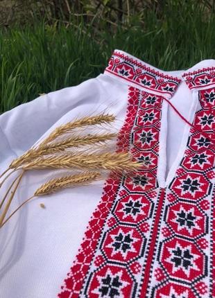 Чоловіча українська вишиванка (геометричний орнамент) традиційна сорочка2 фото