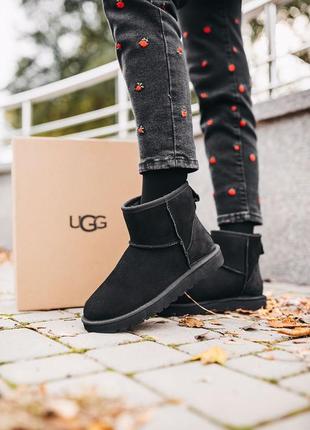 Угги ugg classic mini “black” уги5 фото