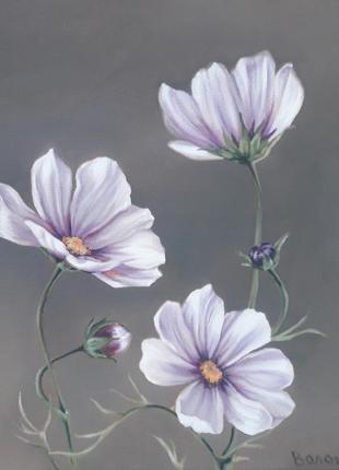 Космея, квітковий живопис маслом на полотні, розмір 24х24см. полотно на підрамнику1 фото
