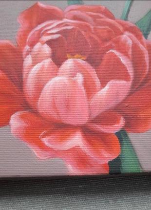Червоні тюльпани, картина маслом розміром 24х24см, авторський живопис мирослави волощук4 фото