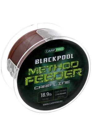 Волосінь carp pro blackpool method feeder carp 300м 0.25 мм