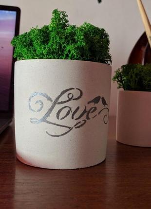 Набор бетонных кашпо с стабилизированным мхом