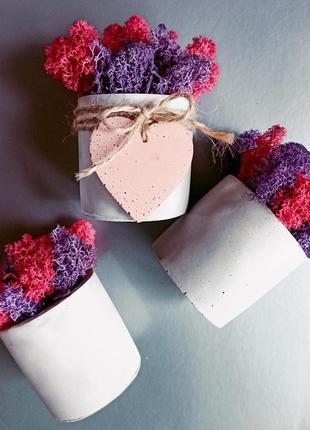 Набір з 3х бетонних кашпо з мохом. подарунок