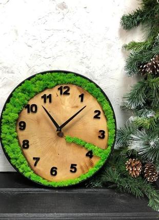 Часы со мхом, стабилизированный мох до 30 см