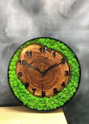 Годинник з мохом, стабілізований мох 31-35 см3 фото