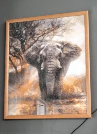 Алмазна картина слон1 фото