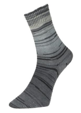 Шкарпеткова пряжа pro lana golden socks blausee, 06