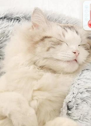 Домик-лежанка для кота, плюшевая 50х50 см, gray-inside plush, velice2 фото